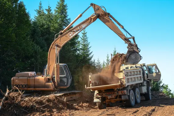 Kasino Bonkers Bet Tuki